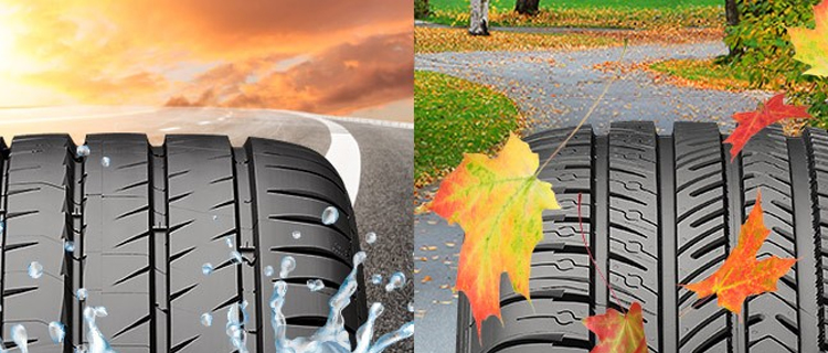 Performance Tires Vs All Season: Which Gives the Best Grip?